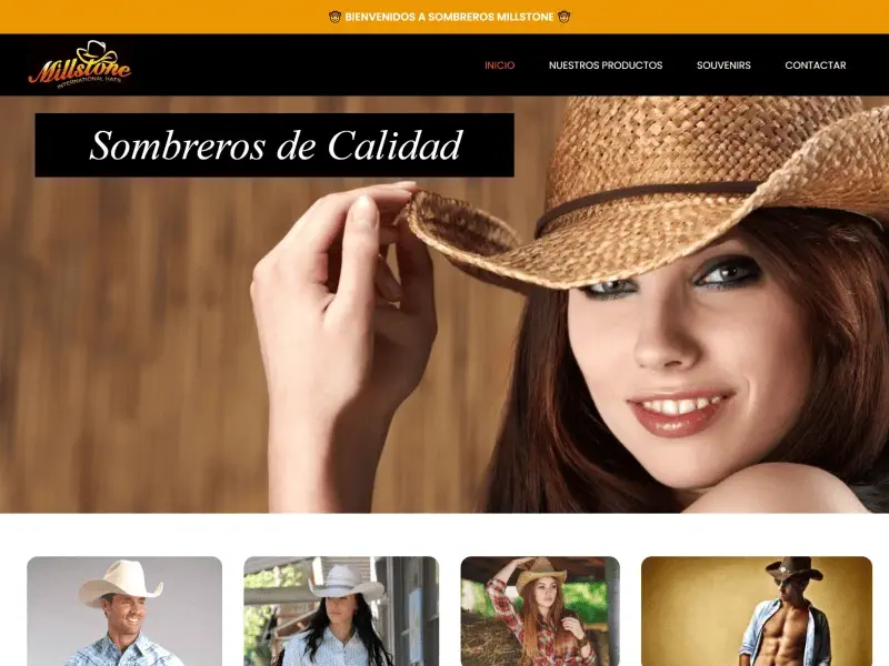 diseño paginas web cancun